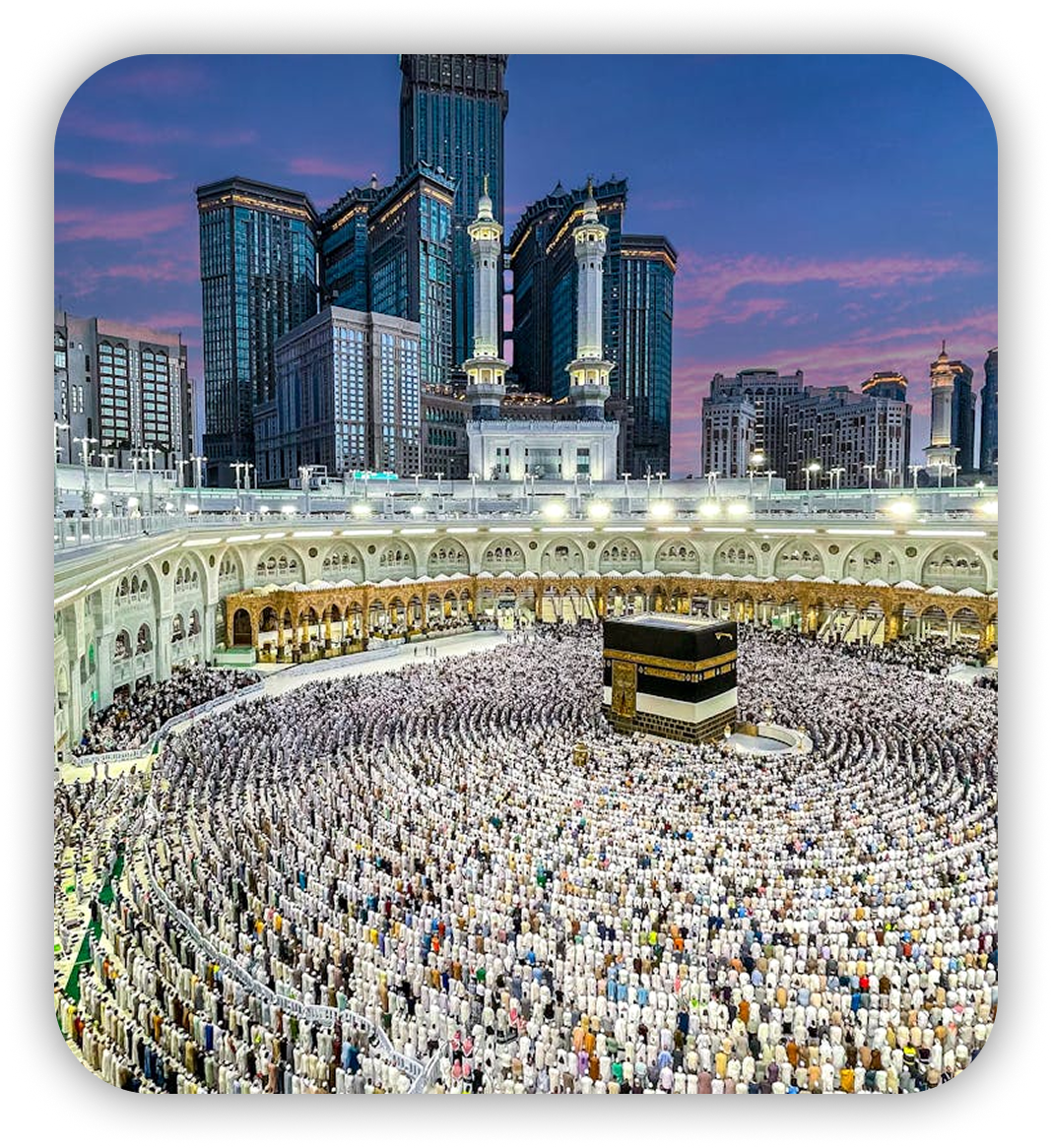 about section image 1